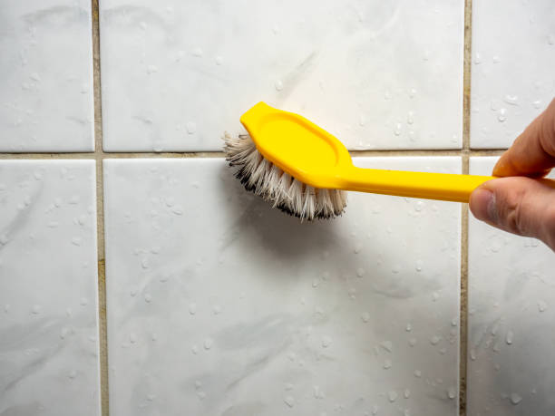 Best Mold Damage Repair  in Cedar Crest, MA
